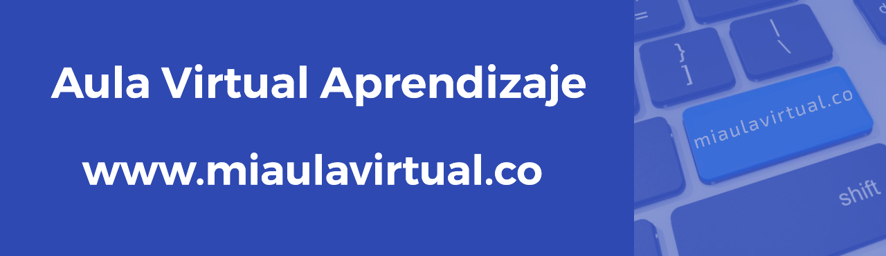 www.miaulavirtual.co