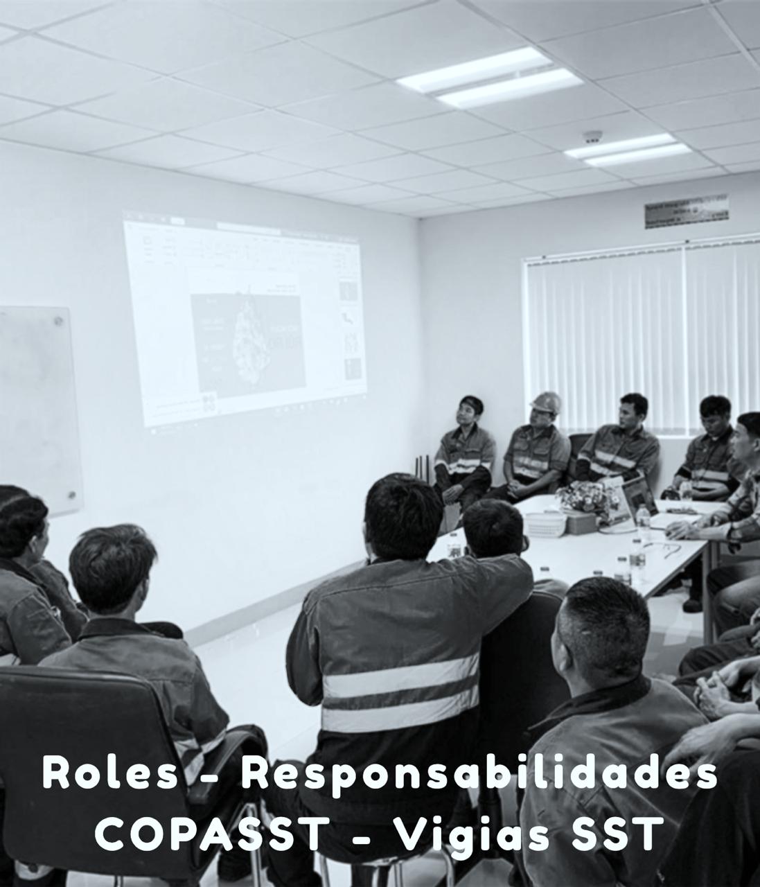 Resolucion 2013 COPASST